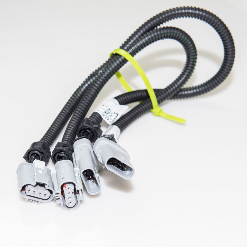 Kooks 2014+ Chevrolet Corvette C7 O2 Sensor Extension Harness EX685-Z Photo - Primary