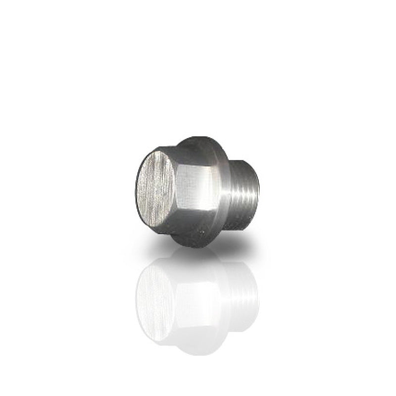 Stainless Works O2 Bung Plug O2P O2P Photo - Primary