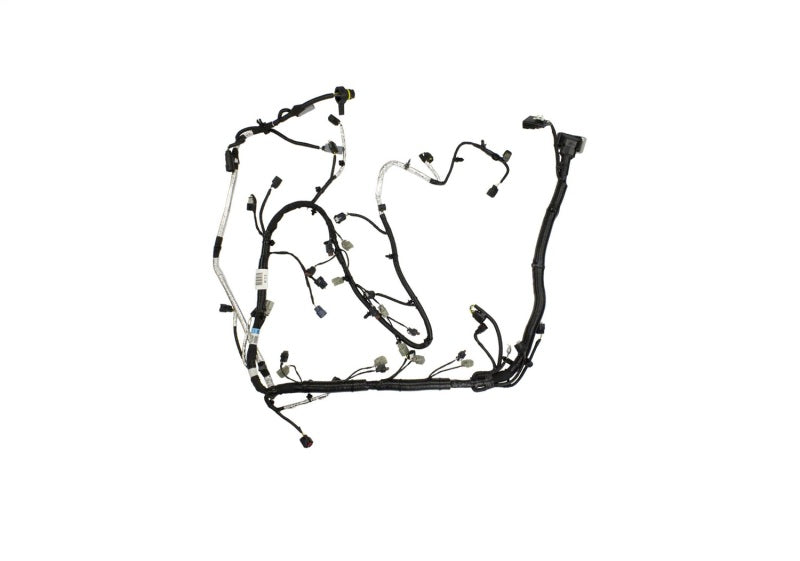 Ford Performance Parts Ford Racing 5.0L Coyote Engine Harness for Automatic Transmission M-12508-M50A Photo - Unmounted
