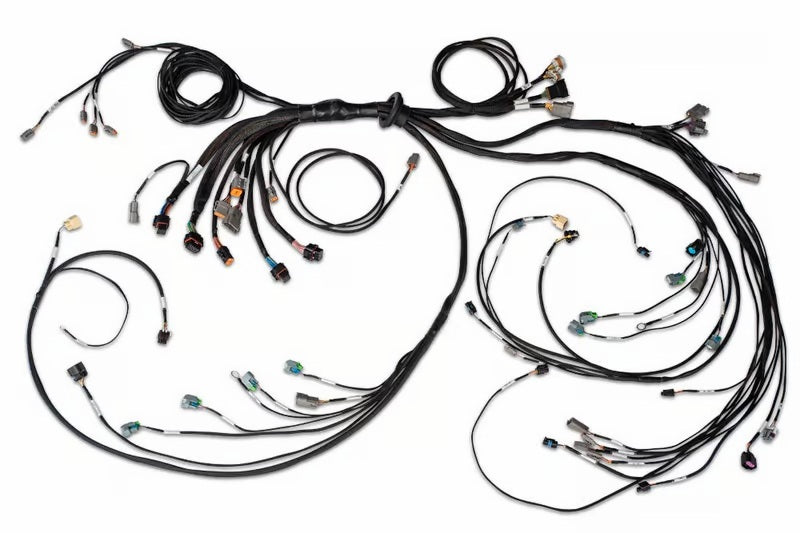 Haltech Nexus R5 LSx DBW Terminated Harness - DBW Ready (Injector Connector: EV6) HT-186205 HT-186205 User 1