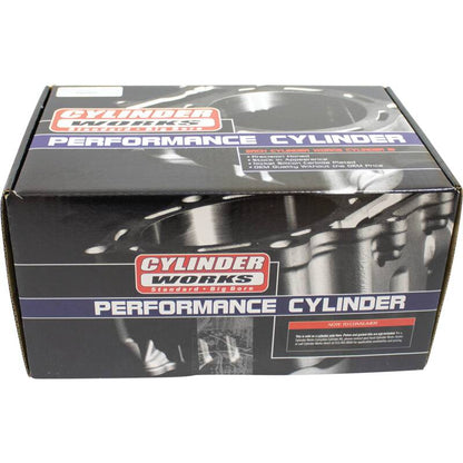 Cylinder Works 20-24 Kawasaki KRX 1000 Teryx 1000cc Big Bore Cylinder 95mm CW31015-1 CW31015-1 Photo - Primary