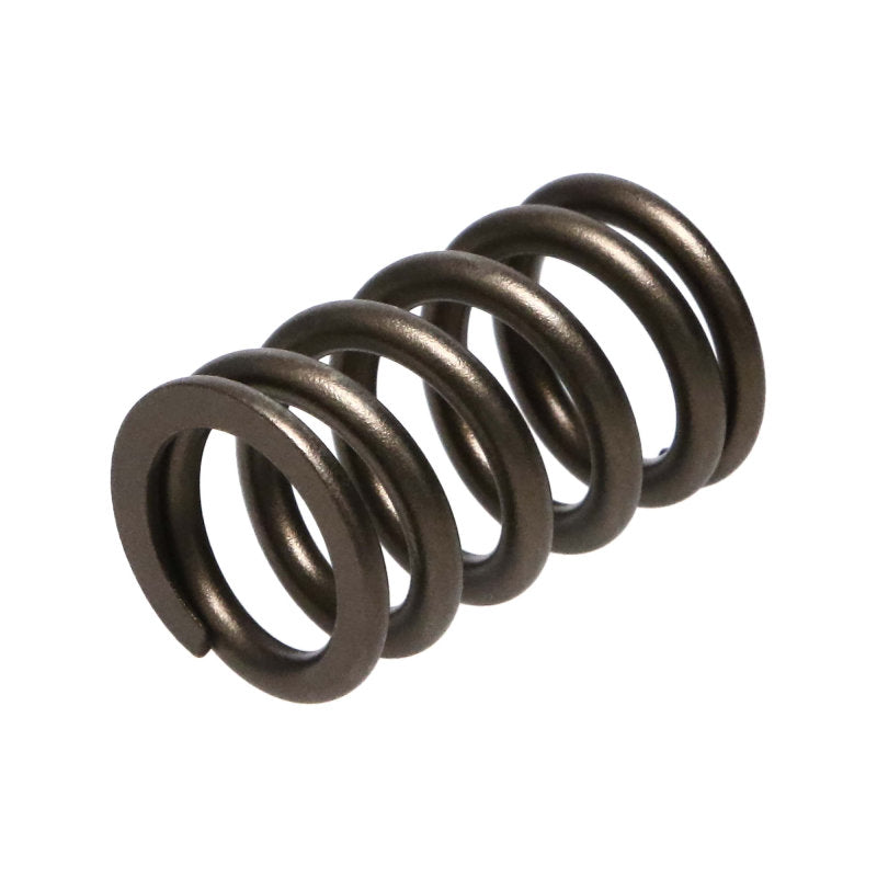 Manley Nissan (RB26DET) 24pc Valve Springs 22175-24 22175-24 Photo - out of package
