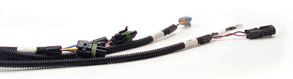 FAST Fuel Management Wiring Harness 301100 Photo - Primary
