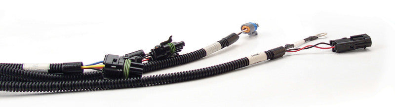 FAST Fuel Management Wiring Harness 301100 Photo - Primary