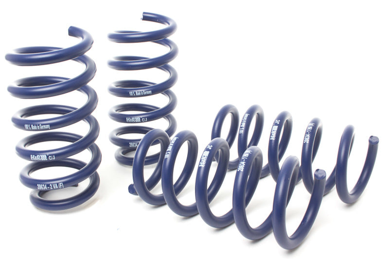 H&R 19-21 BMW X5 M50i/X5 xDrive40i/X5 xDrive50i G05 Sport Spring 28634-2 28634-2 User 1