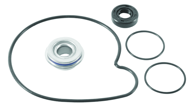 QuadBoss 16-19 Polaris ACE 900 SP/XC Water Pump Rebuild Kit 565299 565299 Photo - Primary