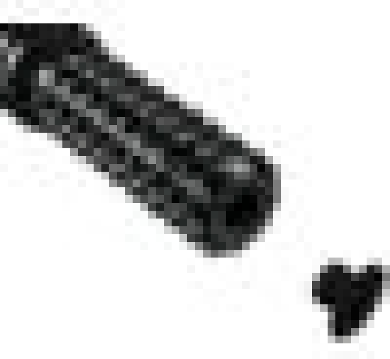 Vortex Racing Vortex Rearset Repl Peg Blk RSP04AK RSP04AK User 1