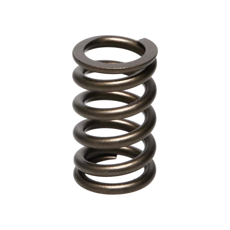 Manley Nissan (RB26DET) 24pc Valve Springs 22175-24 22175-24 User 1