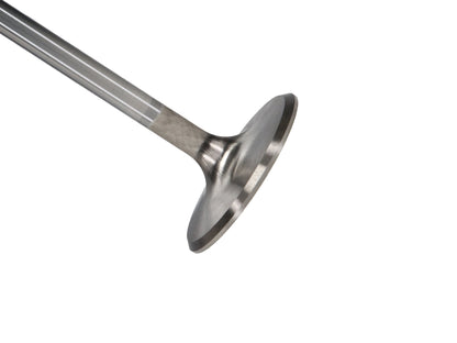 Manley Ford 4.6L/5.4L SOHC (2 Valve) 1999+ Bead Loc Groove 44.5mm Race Master Intake Valve - Single 11636B-1