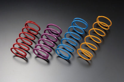 GReddy WASTEGATE SPRING TYPE R/C 0.8-1.2 KG - () 11900260