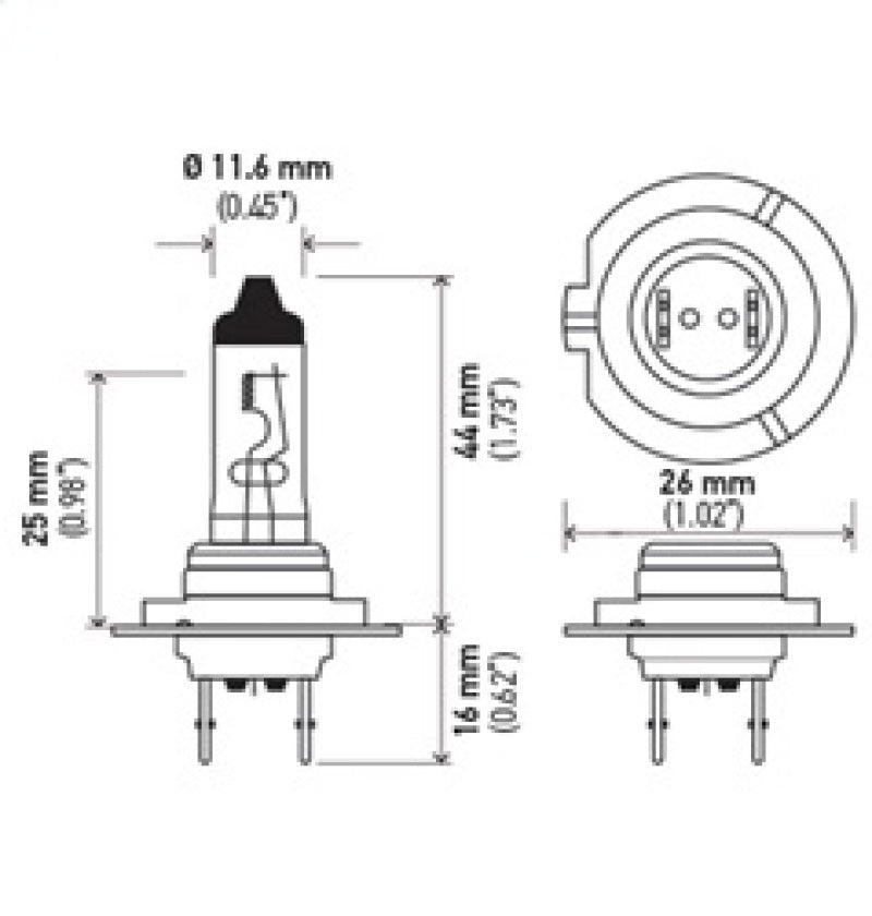 Hella High Wattage Bulb H7 12V 100W PX26d T4.6 H7 100W H7 100W Technical Drawing