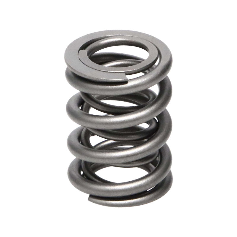 Manley Nissan (KA24DE) 16pc Valve Springs 22160-16 22160-16 User 1