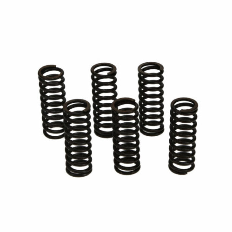 Wiseco WIS Clutch Spring Kits Drivetrain Clutch Rebuild Kits main image