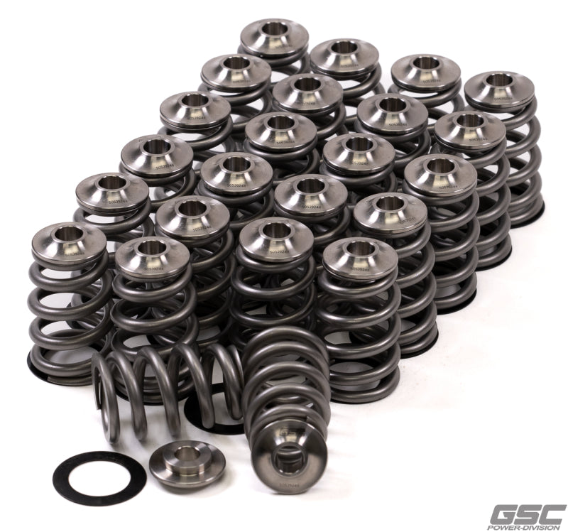 GSC Power Division GSC Valve Spring Kits Engine Components Valve Springs, Retainers main image