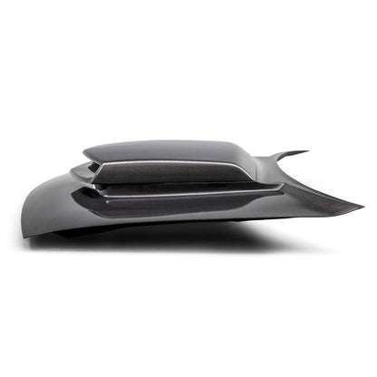 Anderson Composites 15-23 Dodge Challenger Type-HM Carbon Fiber Hood AC-HD15DGCH-HM AC-HD15DGCH-HM User 1
