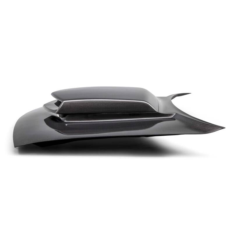 Anderson Composites 15-23 Dodge Challenger Type-HM Carbon Fiber Hood AC-HD15DGCH-HM AC-HD15DGCH-HM User 1