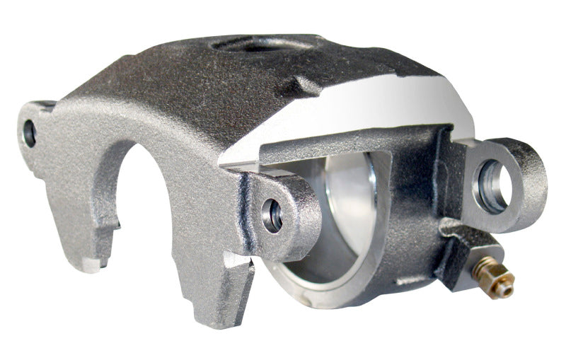 Wilwood Caliper-GM Metric D154, Iron, 2.75" Piston, 1.00" Disc 120-8924 Photo - Primary