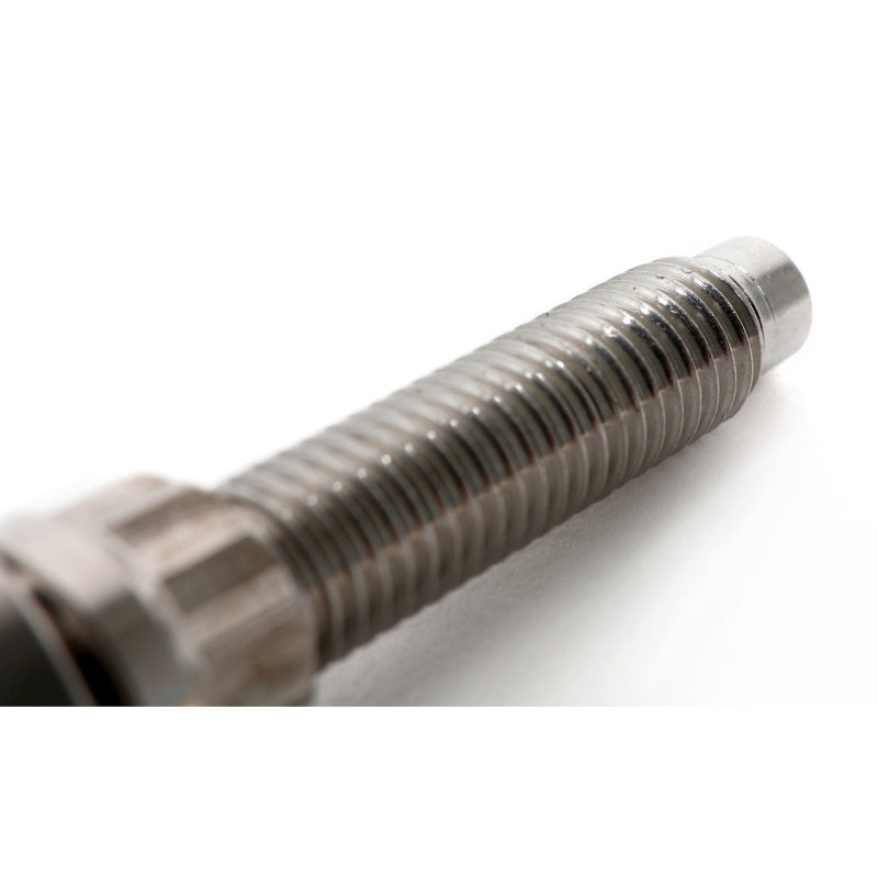 BLOX Racing SUS303 Stainless Steel Manifold Stud Kit M8 x 1.25mm 65mm in Length - Single BXFL-00309-SP BXFL-00309-SP User 1