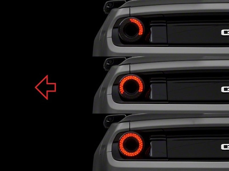 Raxiom 15-22 Ford Mustang Halo LED Tail Lights - Gloss Black Housing (Smoked Lens) 393827 393827 User 1
