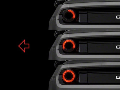 Raxiom 15-22 Ford Mustang Halo LED Tail Lights - Gloss Black Housing (Smoked Lens) 393827 393827 User 1