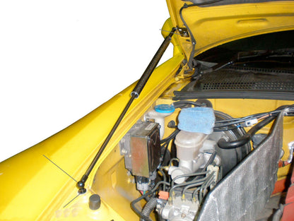 GReddy CARBON HOOD LIFTER AP1/AP2 - () 18550101