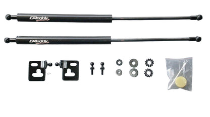 GReddy CARBON HOOD LIFTER GDB - () 18560101