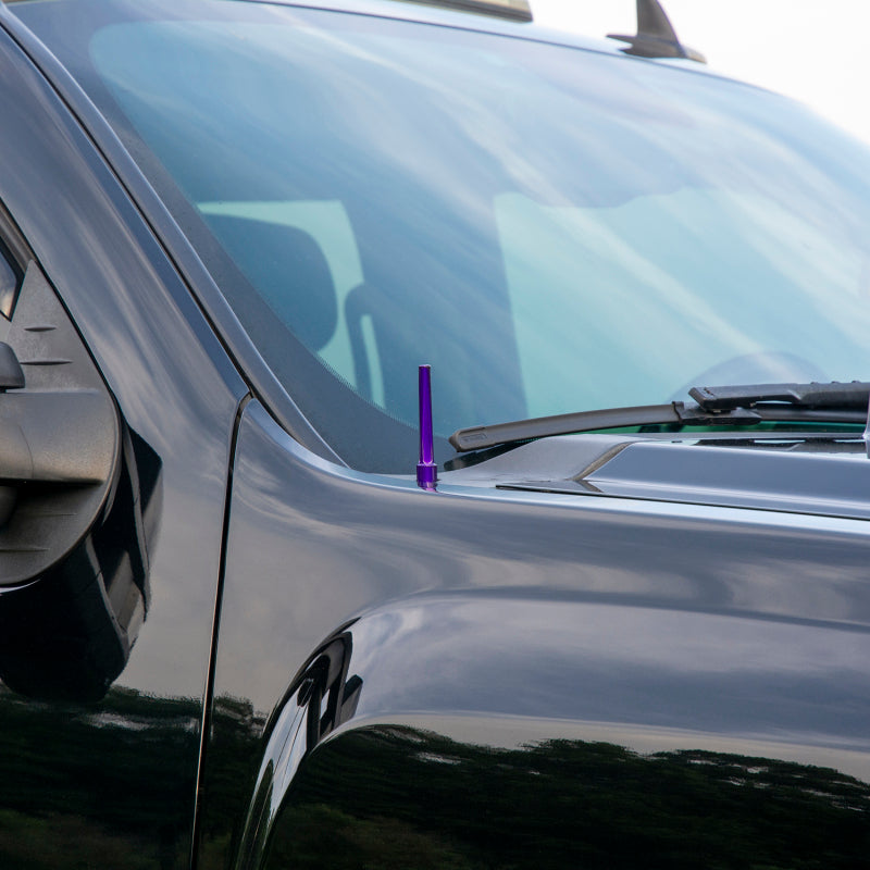 Wehrli 07.5-19 Chevrolet 6.6L Duramax Billet TIG Torch Stubby Antenna - Semi-Gloss Black WCF100041-SGB WCF100041-SGB User 2