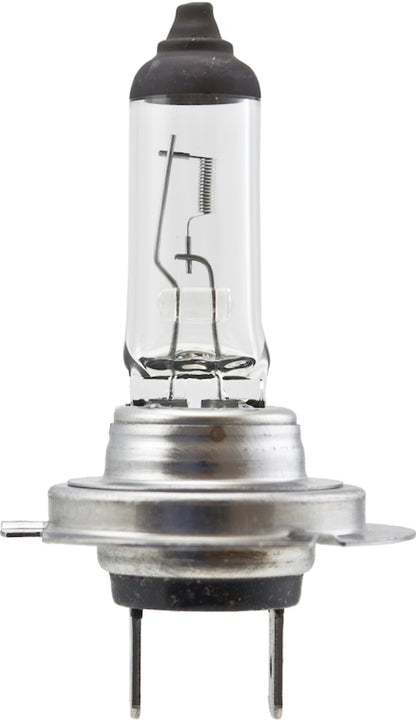Hella High Wattage Bulb H7 12V 100W PX26d T4.6 H7 100W H7 100W Photo - Close Up