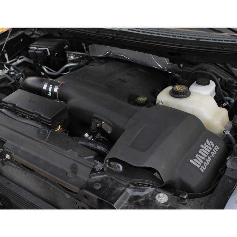 Banks Power 11-14 Ford F-150 3.5L EcoBoost Ram-Air Intake System - Dry Filter 0W56Z 41870-D Photo - Close Up