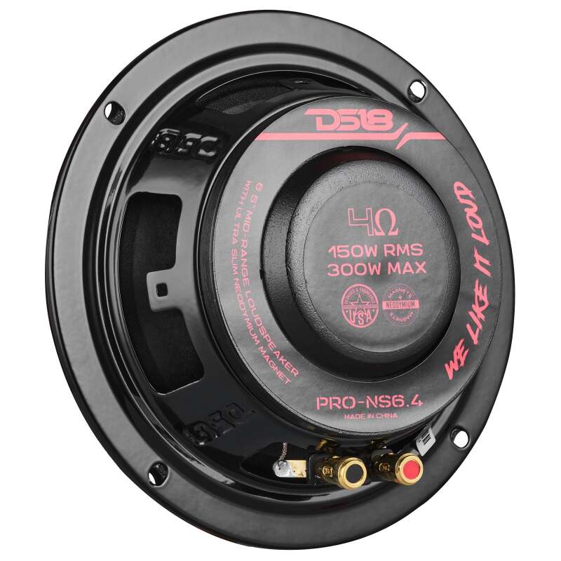 DS18 DSE PRO-NS Shallow Neodymium Full Range Loudspeakers Audio, Video & Radios Speakers main image