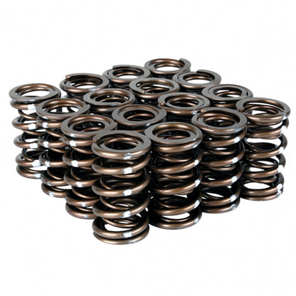 Skunk2 Pro Series XP Valve Spring Set Honda/Acura B-Series VTEC 311-05-7350 Photo - Primary