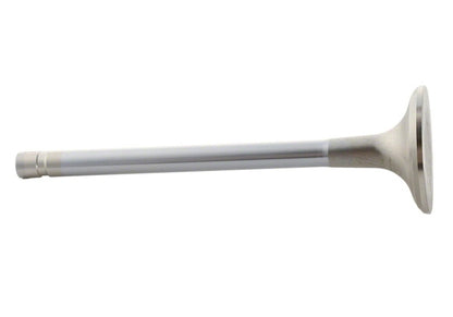 Ford Performance Parts Ford Racing Exhaust Valve 302/351W M-6505-B304 Photo - Unmounted