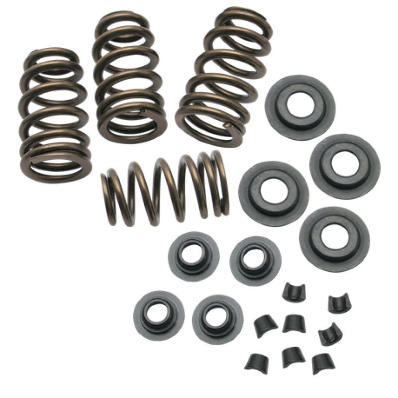 S&S Cycle Valve Spring Kit 900-0050 900-0050 User 1