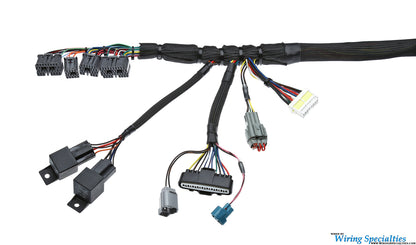 Wiring Specialties 1JZGTE VVTi Harness for R33 Skyline GT-S PRO SERIES WRS-PRO1JZVVTI-R33GTS