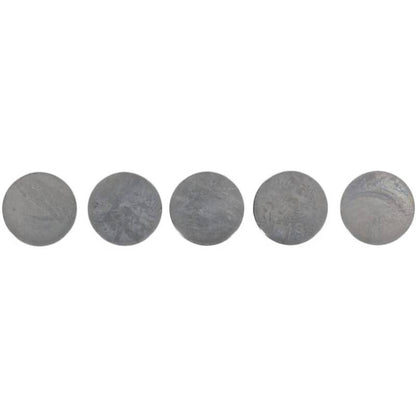 Hot Cams 04-08 400 DVX/02-16 CRF 450 R 1.600mm Shim Kit - 5 Pack 5PK948160 5PK948160 Photo - Primary