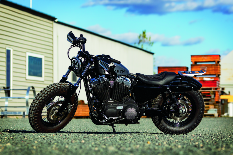 Kuryakyn Dillinger Pegs Mle Mt Adpt Sil 6666 6666 User 1