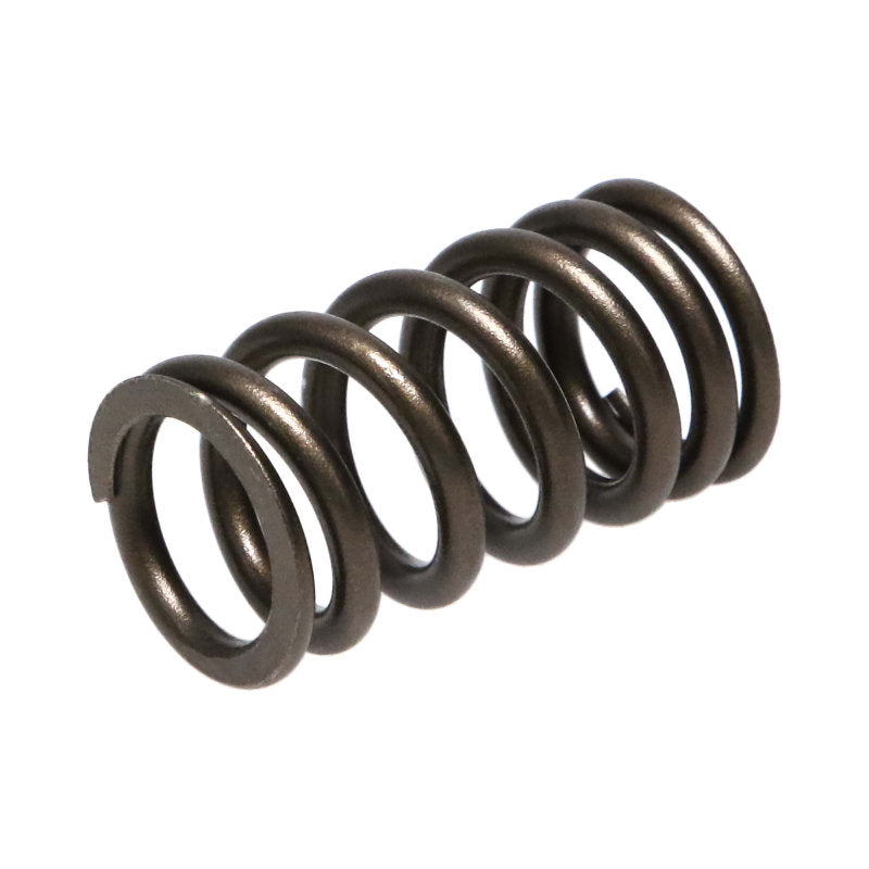 Manley Nissan (VQ35DET) 24pc Valve Springs 22170-24 22170-24 Photo - out of package