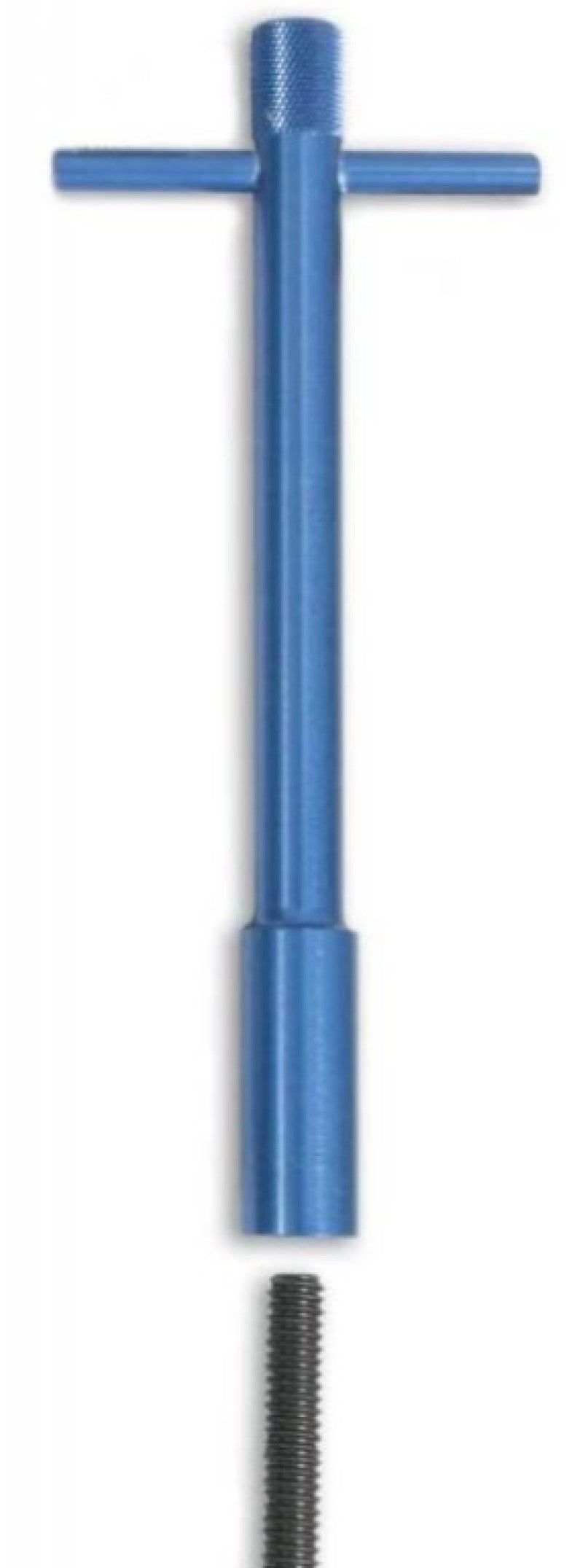 Moroso Wing Nut, V/C, Blue PC 68604 User 1