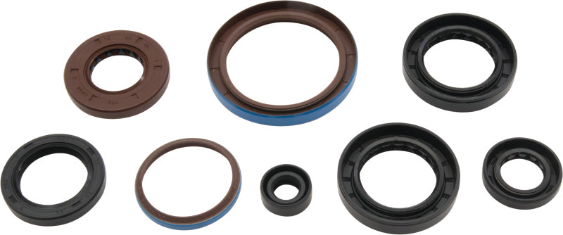 Vertex Pistons Vertex Gaskets 12-14 Arctic Cat 550 EFI 4x4 Oil Seal Kit 822381 822381 Photo - Primary