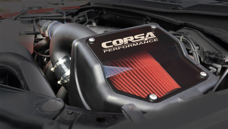 Corsa 15-19 Ford F150 2.7L & 15-16 3.5L Ecoboost V6 DryTech 3D Closed Box Air Intake 49627D 49627D Photo - Mounted