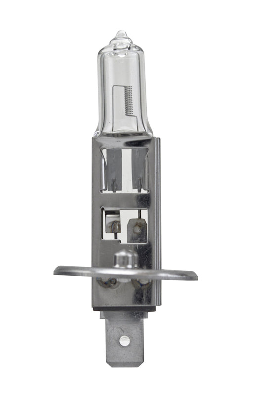 Hella Bulb H1 12V 55W P145S T25 Sb H1SB H1SB Photo - Primary