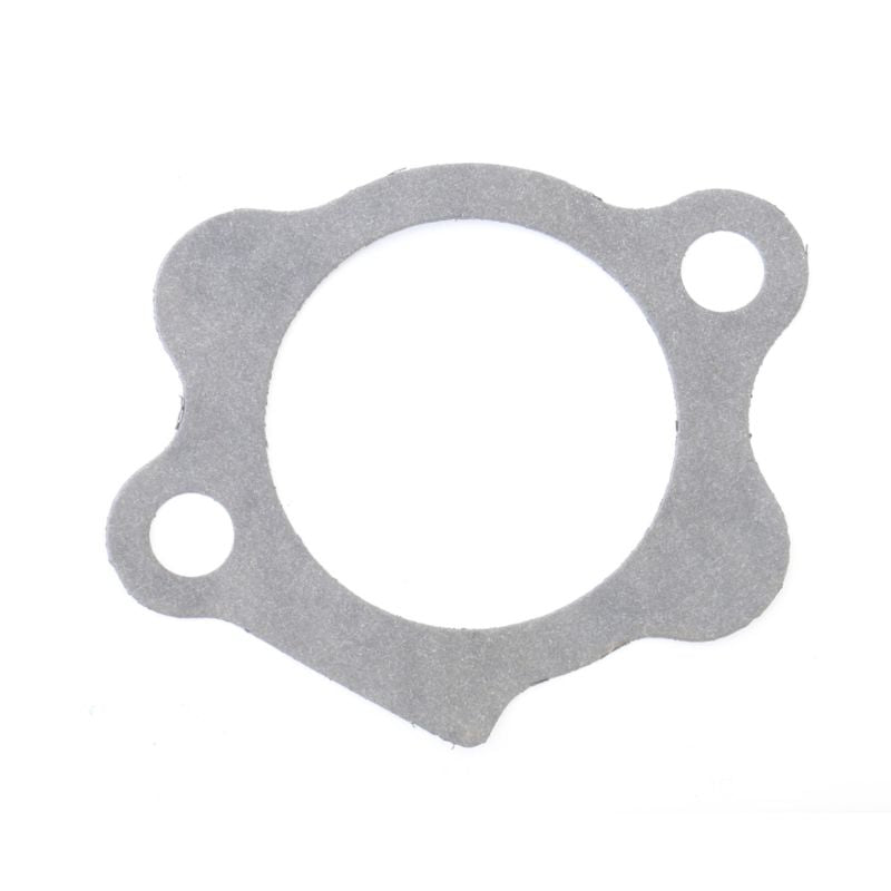 Athena Harley-Davidson Sportsters Starter Mount Gasket - Set of 10 S410195021001 S410195021001 Photo - Primary