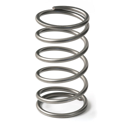 GFB EX50 13psi Wastegate Spring (Outer) 7113 7113 Photo - out of package