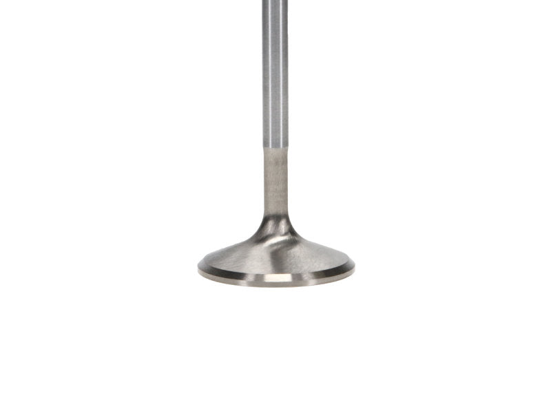 Manley 92-00 Acura Integra / 99-00 Honda Civic 16 Valve 33.0mm Race Flo F/F Intake Valves (Set of 8) 11690-8 11690-8 User 3