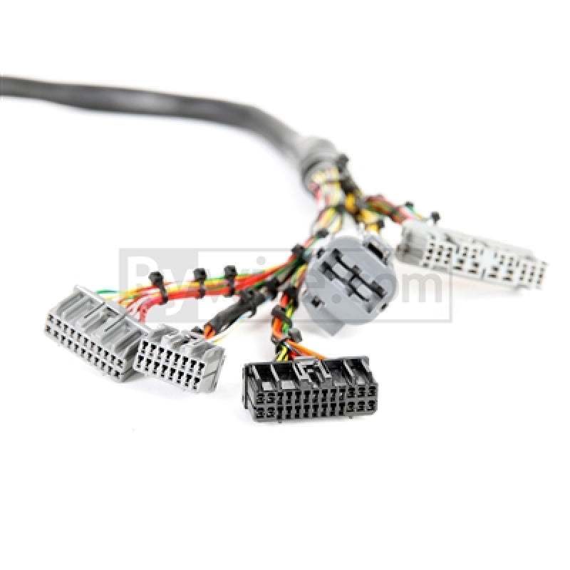 Rywire Honda B/D-Series Mil-Spec Eng Harness w/OBD1 Dist/Inj/Alternator & 92-95 Plugs (Adapter Req) RY-B1-MILSPEC RY-B1-MILSPEC Photo - Primary