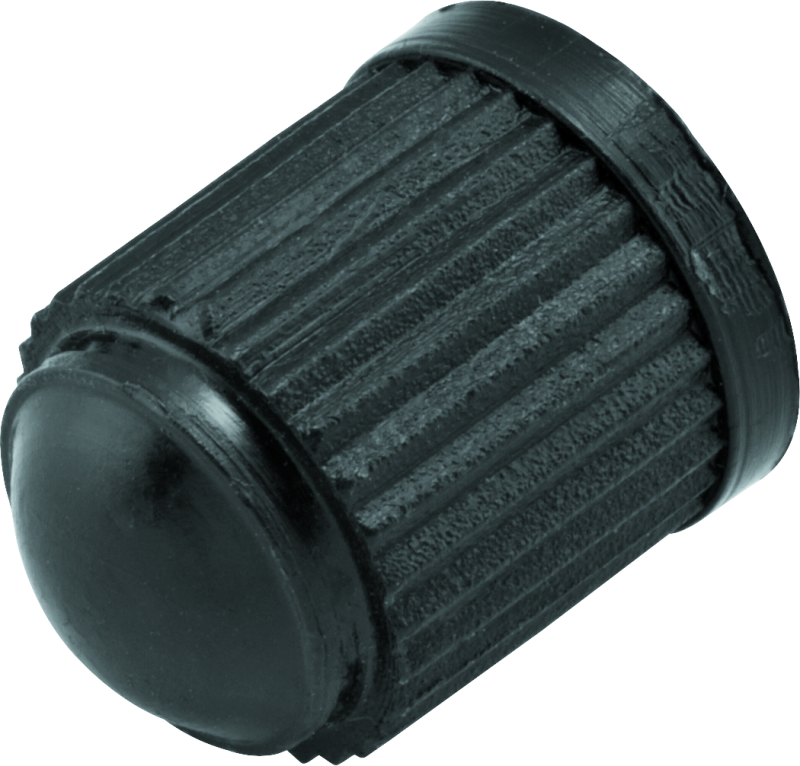 BikeMaster Valve Caps Plastic 100/Pk 151696 151696 Photo - Primary