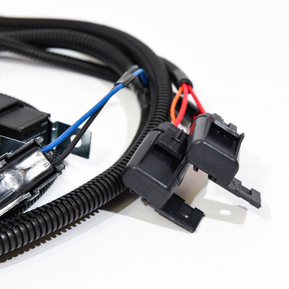 VMP Performance 15+ Coyote 5.0L Heat Exchanger Fan/Pump Harness - Dual Relay VMP-ENC006 VMP-ENC006 Photo - Close Up