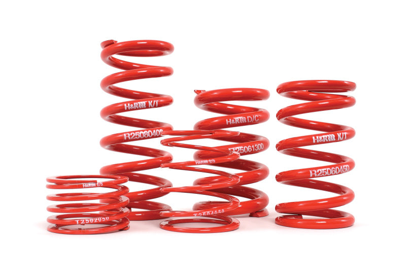 H&R HR 2.5in ID Race Springs Suspension Coilover Springs main image