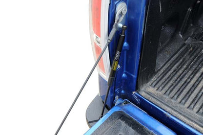Dee Zee Deezee 15-23 Ford F150 Tailgate Assist Shock DZ43204 DZ43204 User 1