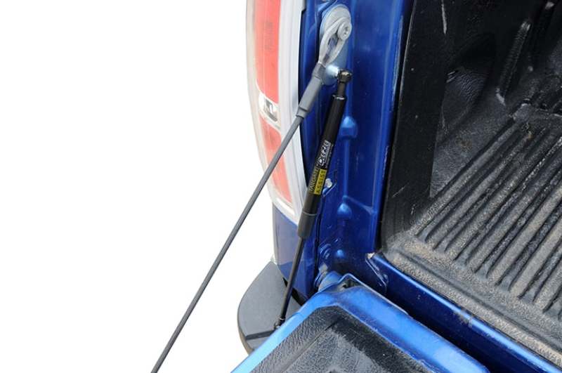 Dee Zee Deezee 04-14 Ford F150 Tailgate Assist Shock DZ43200 DZ43200 User 1